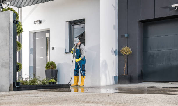 Best House Exterior Washing  in Pioneer, CA