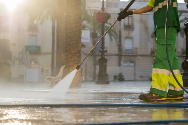 Best Driveway Pressure Washing  in Pioneer, CA